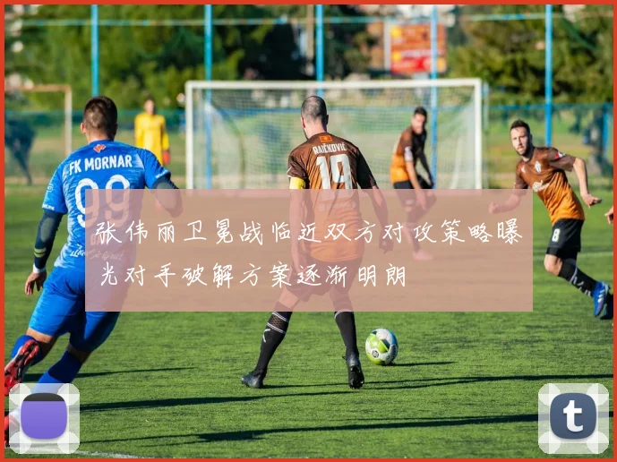 张伟丽卫冕战临近双方对攻策略曝光对手破解方案逐渐明朗
